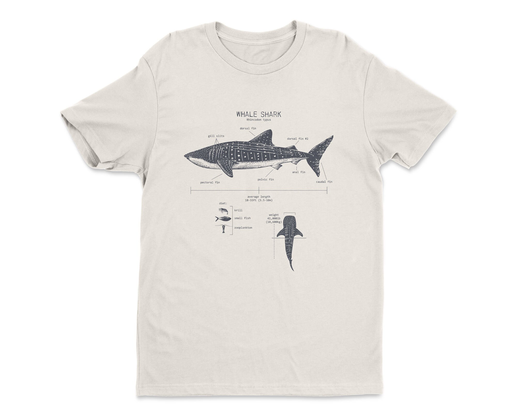 Whale Shark Anatomy Tshirt Whale Shark T Shirt Marine Etsy