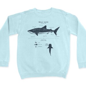 Sudadera con anatomía del tiburón ballena, regalo de tiburón ballena, biología marina, sudadera con tiburón, pareo de playa, regalo de tiburón ballena, camiseta de biología marina Sea Ray Blue