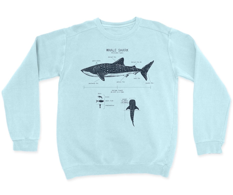 Sudadera con anatomía del tiburón ballena, regalo de tiburón ballena, biología marina, sudadera con tiburón, pareo de playa, regalo de tiburón ballena, camiseta de biología marina Sea Ray Blue