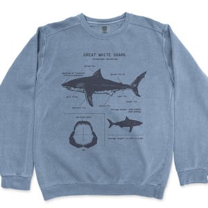 Great White Anatomy Sweatshirt, Shark Sweatshirt, Nautical Art, Science Illustration, Great White Shark, Shark Sweatshirt, Shark Gifts