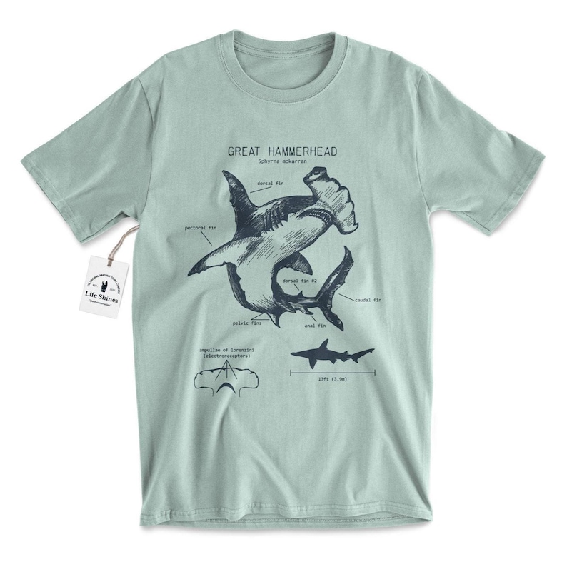 May include: A light blue t-shirt with a graphic of a great hammerhead shark, Sphyrna mokarran, with labeled anatomical features. The text "GREAT HAMMERHEAD" is printed above the shark illustration. The text "Life Shines" is printed on a small tag attached to the shirt.