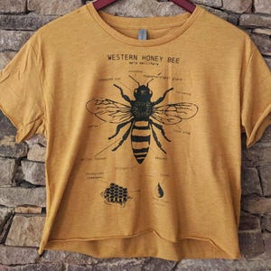 LIMITED EDITION Crop Top, Bee Anatomy, Western Honey Bee Crop Top, Screen Printed Bee Shirt, Nature Crop Top, Bee Biology Drawing