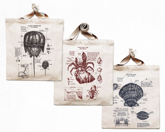 Coastal Tote Bag Collection - Marine Biology Drawings - Hand Screen Printed Cotton Canvas Tote Bags