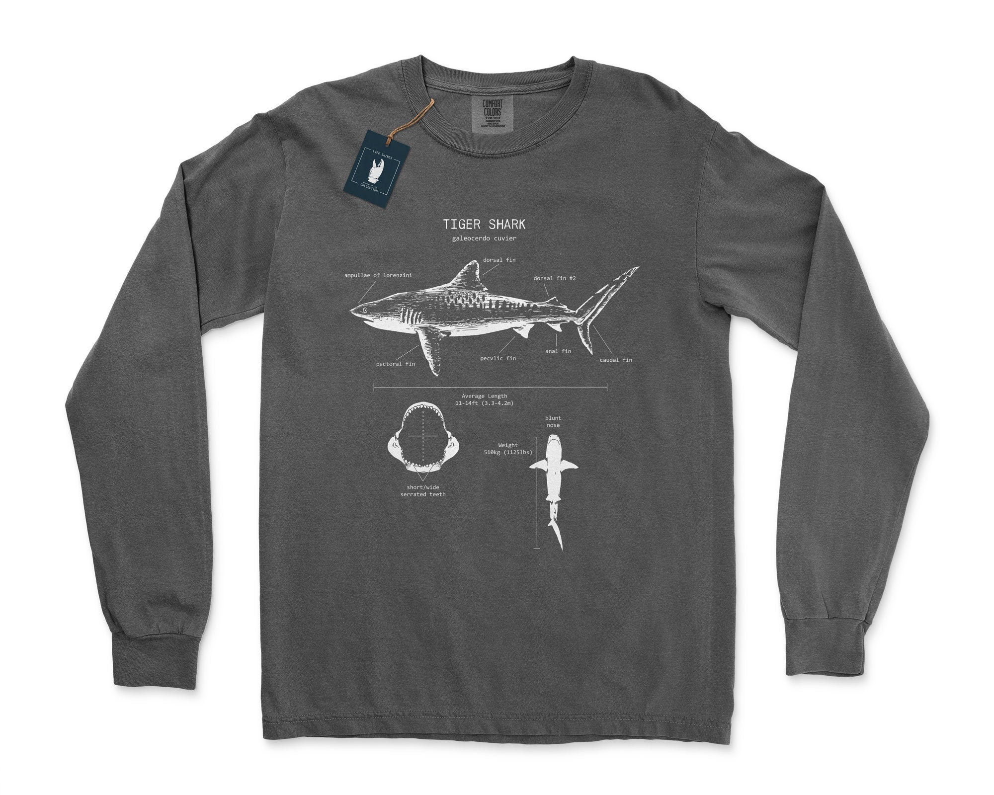 Tiger Shark Anatomy Long Sleeve Shark Illustrations Marine | Etsy