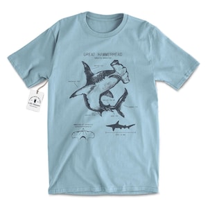 May include: A light blue t-shirt with a graphic of a Great Hammerhead shark, Sphyrna mokarran, with anatomical labels. The text "GREAT HAMMERHEAD" is printed above the shark illustration. The shirt is part of the Life Shines collection.
