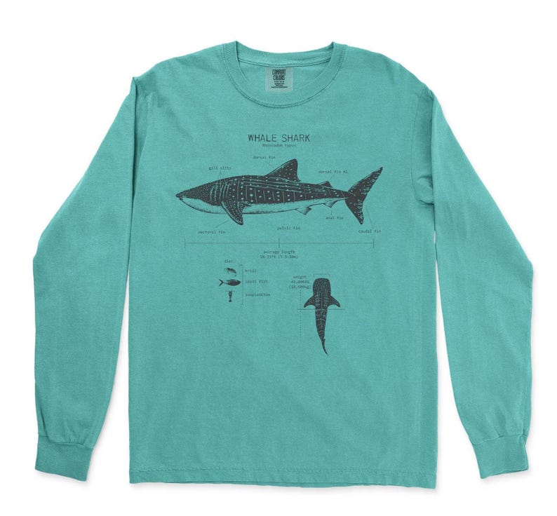 Walhai Anatomie Langarm, Haifisch Shirt, Walhai T-Shirt, Meeresbiologie Shirt, Wissenschaft Shirt, Strand Langarm, Walhai Geschenke Sea Moss Green