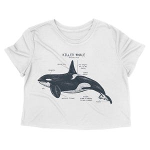 Killer Whale Anatomy Crop Top, Orca Top, Marine Biologist Shirt, Dolphin Gifts for Women, Orca Art, Original Orca Shirt