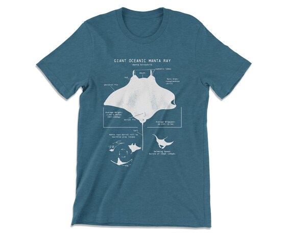 manta ray shirt