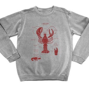 Lobster Anatomy Sweatshirt, Lobster Sweatshirt, Maine Lobster Sweatshirt, Maine Sweatshirt, Lobster Biology, Crustacean Sweatshirt