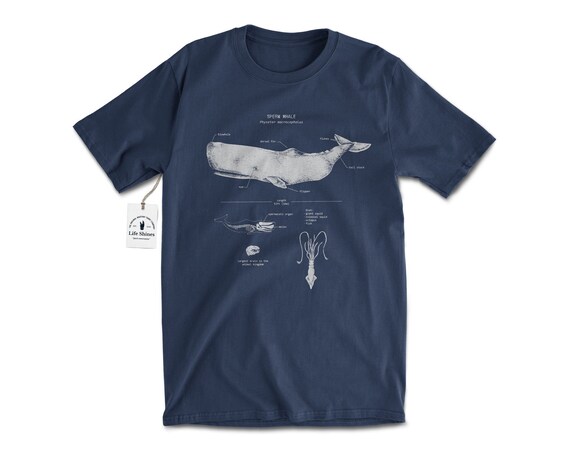 Sperm whale t shirt Clearance