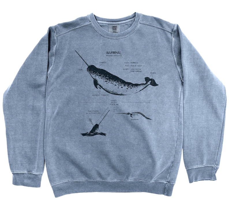 Narwhal Anatomy Sweatshirt: Marine Biology Gift, Screen Printed Sweater image 2
