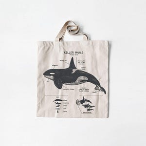 Killer Whale Anatomy Tote Bag, Cotton Canvas Killer Whale Tote, Natural Orca Tote Bag, Killer Whale Biology, Killer Whale Artwork