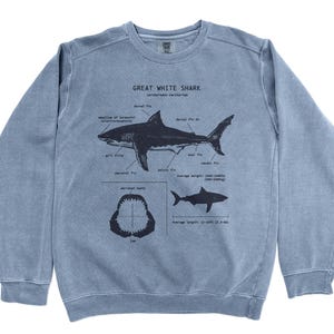 Great White Anatomy Sweatshirt, Shark Sweatshirt, Nautical Art, Science Illustration, Great White Shark, Shark Sweatshirt, Shark Gifts