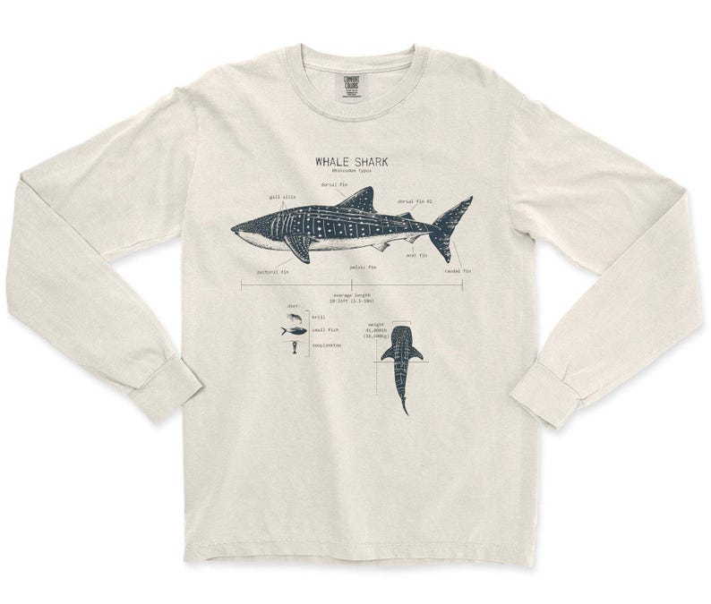 Walhai Anatomie Langarm, Haifisch Shirt, Walhai T-Shirt, Meeresbiologie Shirt, Wissenschaft Shirt, Strand Langarm, Walhai Geschenke Sand
