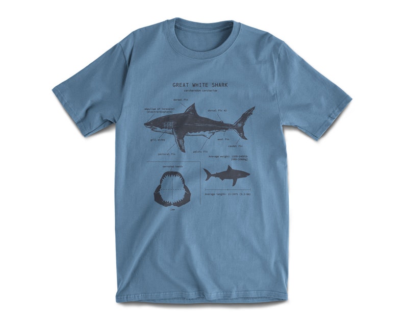 Great White Shark Anatomy T-shirt, Shark Shirt, Great White Shark Biology Shirt, Shark Gift, Great White Shark Drawing, Marine Biology Shirt Pacific