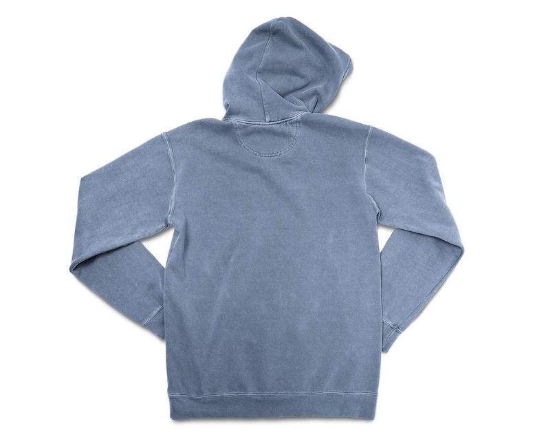 Hammerhead Anatomy Hoodie, Hammerhead Shark Hoodie, Hammerhead Shark Sweatshirt, Marine Biology Hoodie, Hammerhead Shark Art, Shark Artwork image 2