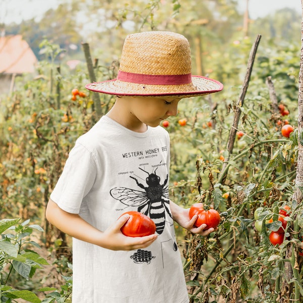 Kids Honey Bee Anatomy T Shirt, Honey Bee Shirt for Kids, Youth Bee Shirt, Honey Bee Biology, Western Honey Bee Art, Kids Bee Gifts