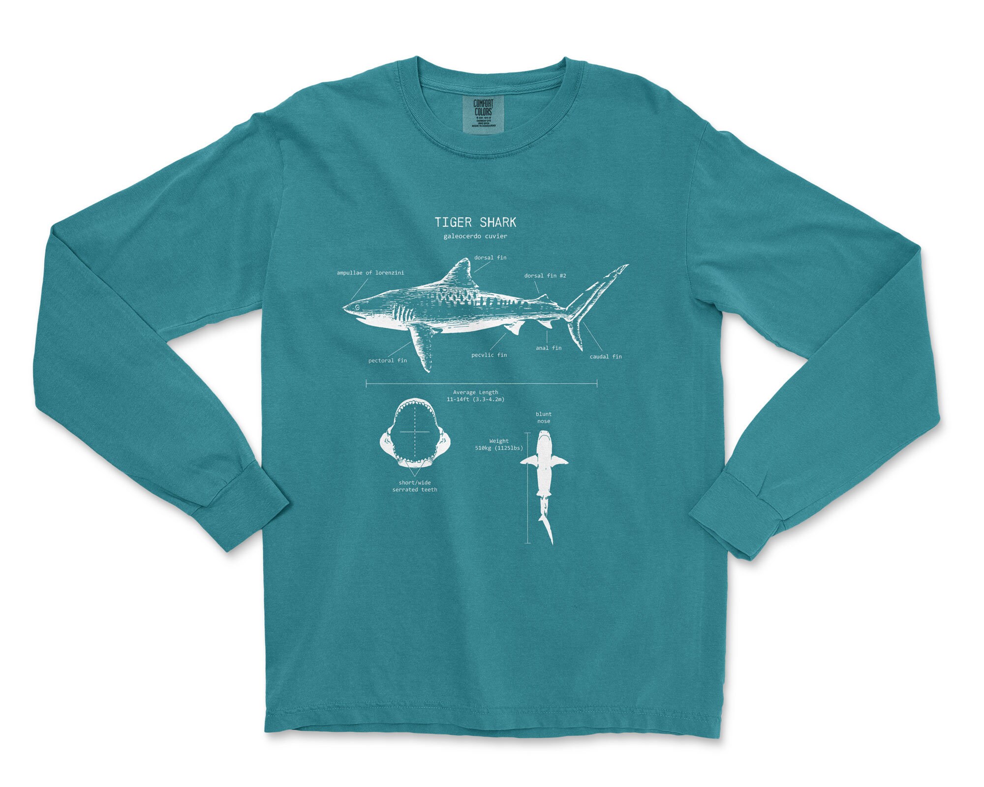Tiger Shark Anatomy Long Sleeve Shark Illustrations Marine | Etsy
