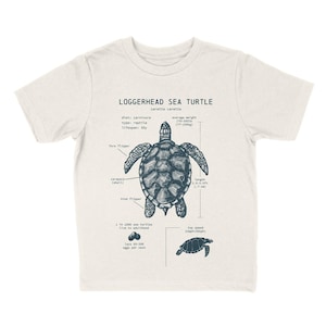 May include: A light beige t-shirt with a graphic of a loggerhead sea turtle, labeled with anatomical features and measurements. The text "LOGGERHEAD SEA TURTLE" and "caretta caretta" are printed above the turtle. The text "diet: carnivore", "type: reptile", "lifespan: 80y", "average weight: 170-350lbs (77-159kg)", "length: 2.5-3.3ft (77-100cm)", "carapace (shell)", "hind flipper", "fore flipper", "width: 2.1-2.8ft (63-85cm)", "1 to 1200 sea turtles live to adulthood", "lays 30-120 eggs per nest", "top speed: 22mph (35km/h)" is printed below the turtle.