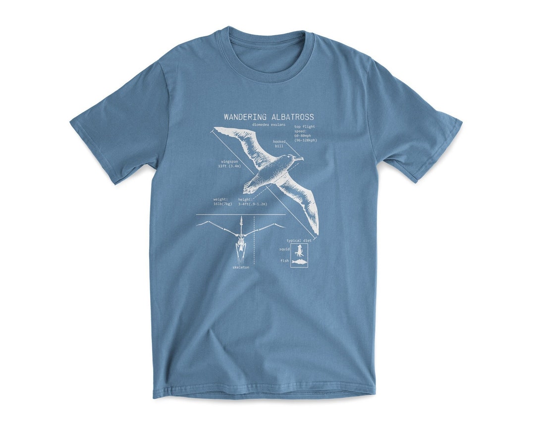 Albatross Anatomy T Shirt, Wandering Albatross Shirt, Seagull T Shirt ...
