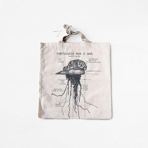 Man o War Anatomy Tote Bag, Portuguese Man o&#39; War Tote Bag, Marine Biologist Tote Bag, Natural Cotton Canvas Tote Bag