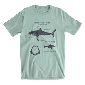 Great White Shark Anatomy T-shirt, Shark Shirt, Great White Shark Biology Shirt, Shark Gift, Great White Shark Drawing, Marine Biology Shirt Seafoam Green