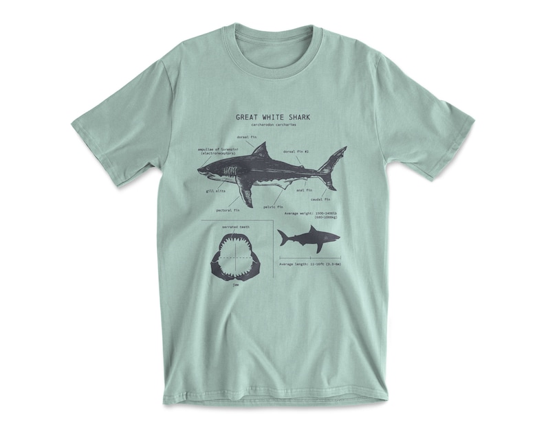 Great White Shark Anatomy T-shirt, Shark Shirt, Great White Shark Biology Shirt, Shark Gift, Great White Shark Drawing, Marine Biology Shirt Seafoam Green