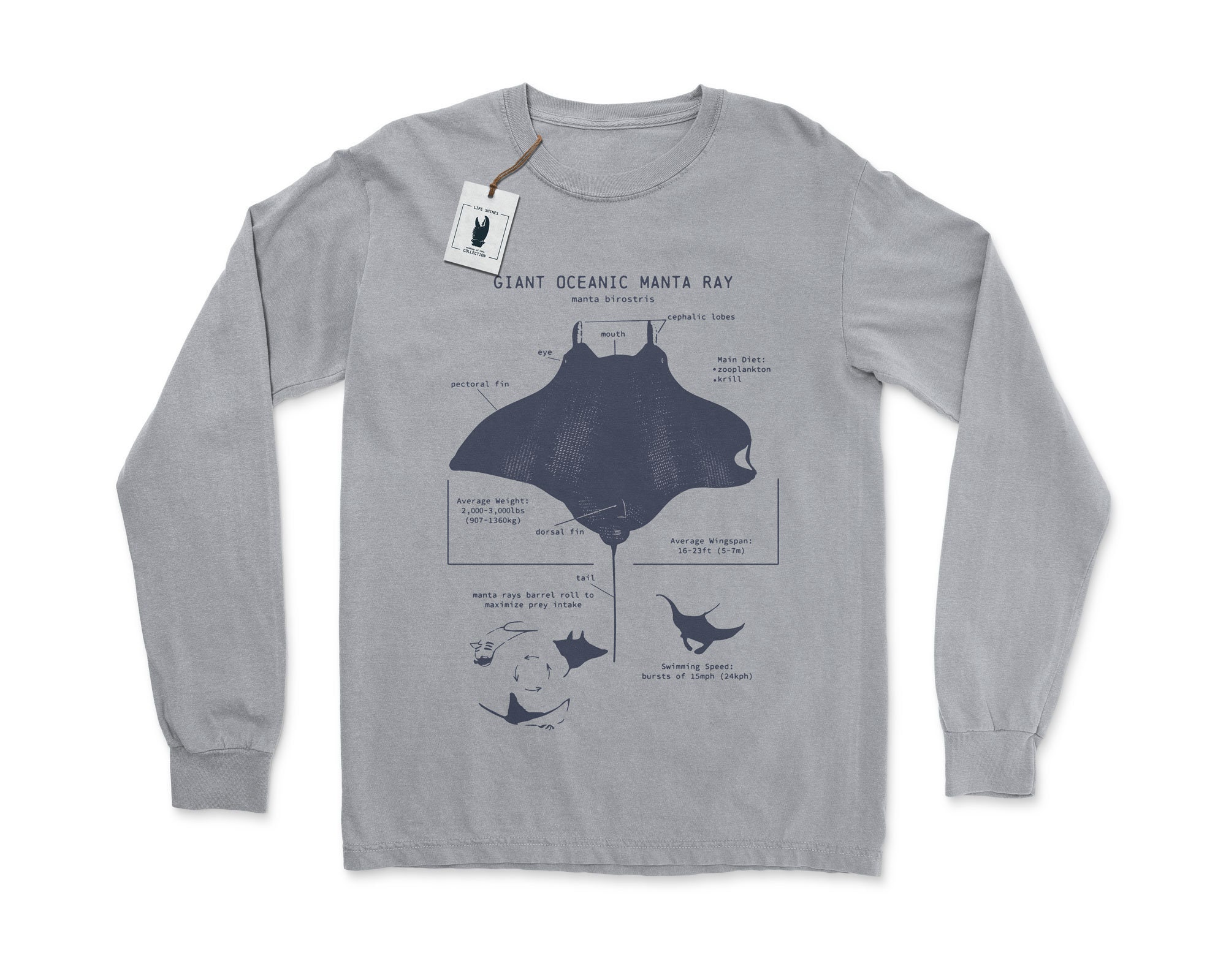 The Complete Manta Ray Anatomy Diagram: You Need To See This! - aniwuwd