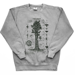 Puede incluir: Sudadera gris con una ilustración detallada de un árbol de secuoya gigante, con diagramas etiquetados de sus partes e insectos. El texto "GIANT SEQUOIA" está impreso en la parte superior. La sudadera tiene cuello redondo y mangas largas.