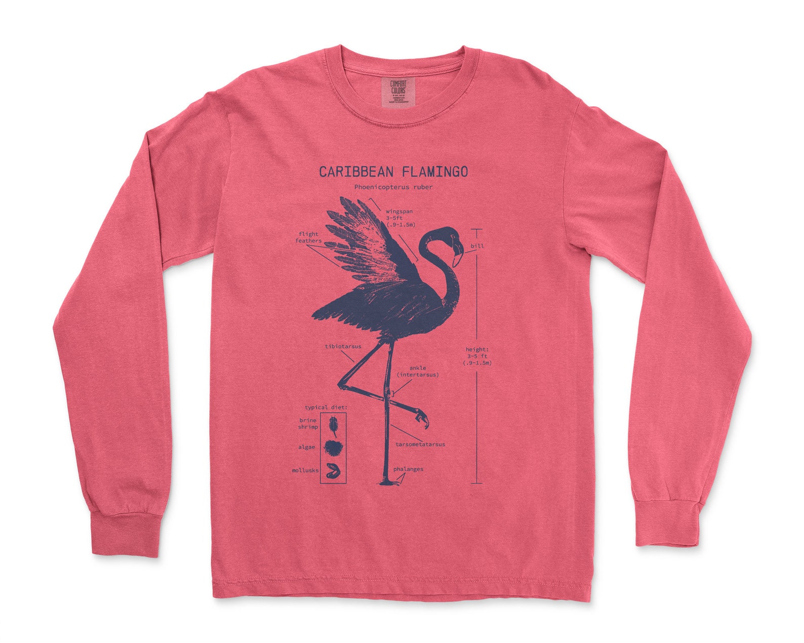 Flamingo Anatomy Long Sleeve Flamingo Shirt Pink Flamingo Etsy