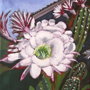 Argentine Giant Cactus Bloom Original Painting