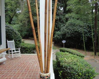 DECOR - 2" to 2.5"+ Diameter Lot of  (2)  Flamed Cured Bamboo Poles - 2.0"- 2.5" diam. x (2' to 8' length)