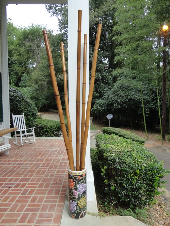 Bamboo Poles