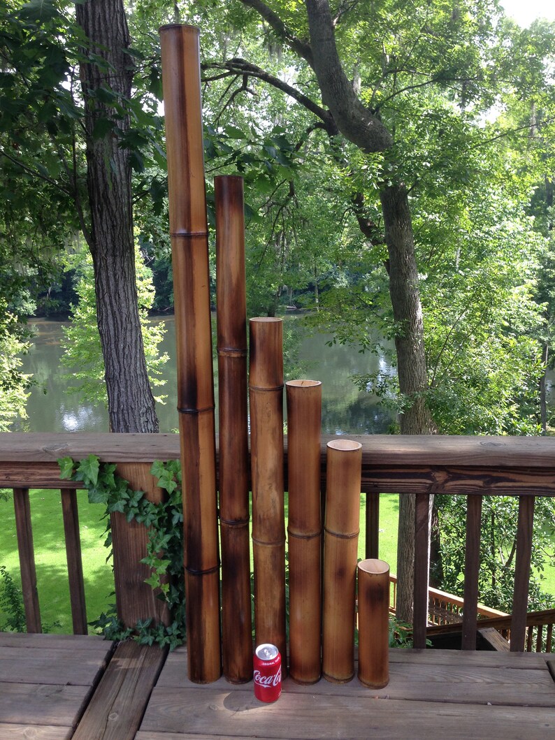 Fresh Cut Bamboo Poles – 2.5–3 Inch Diameter, 3ft To 8ft Lengths, Flame Treated For Durability (6 Pack)