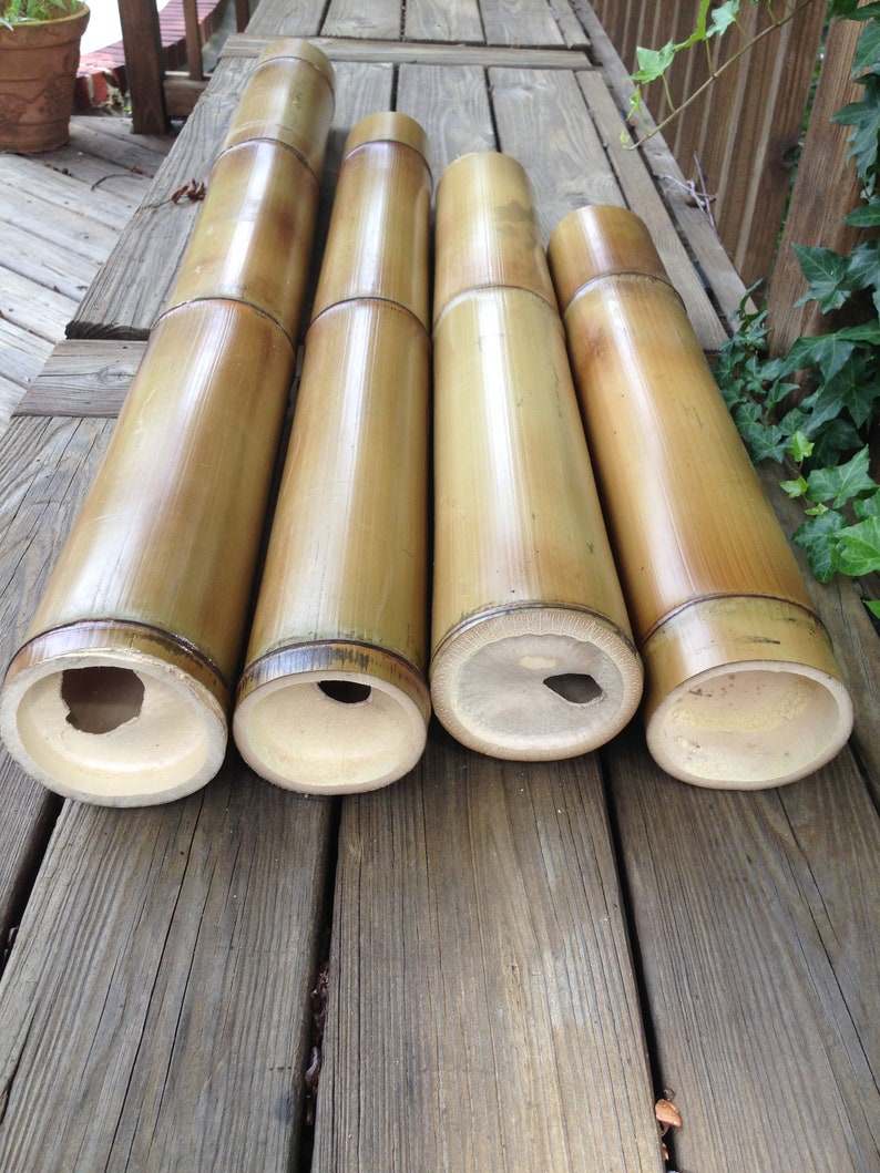 Giant 4 Diameter Flame Cured Bamboo Poles 1' | Etsy