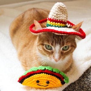 Crochet cat sombrero and taco, crochet taco, cat hat, cinco de Mayo