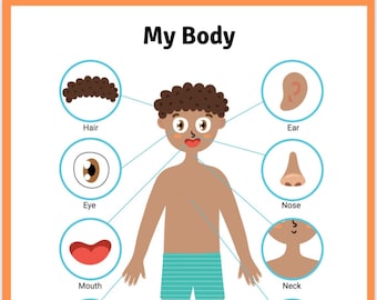 My Body Parts 7 page Activity Set