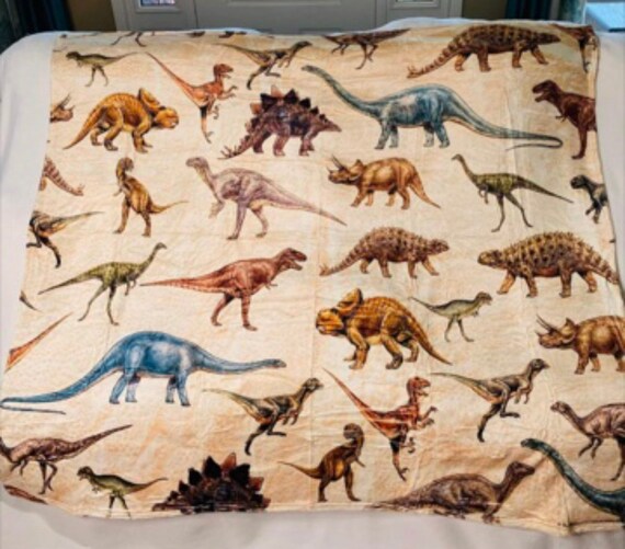 Soft dinosaur blanket sale