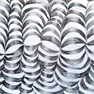 May include: Black and white pencil drawing of a repeating pattern of curved lines creating a 3D effect.