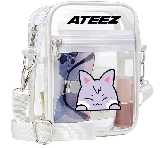 ATEEZ ANITEEZ TOUR 2025 Inspired Transparent Two-pocket