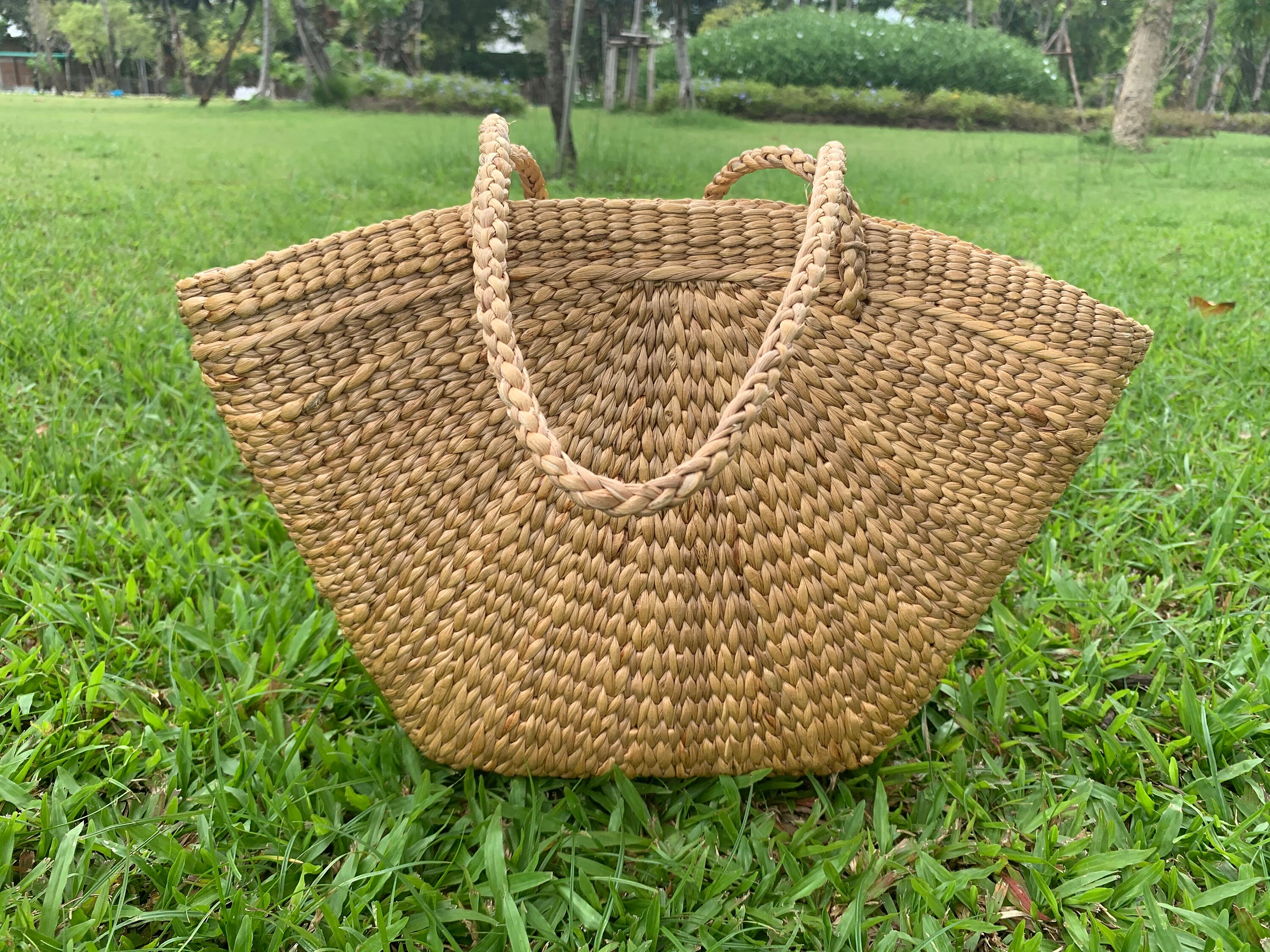 Water Hyacinth Bag - Etsy