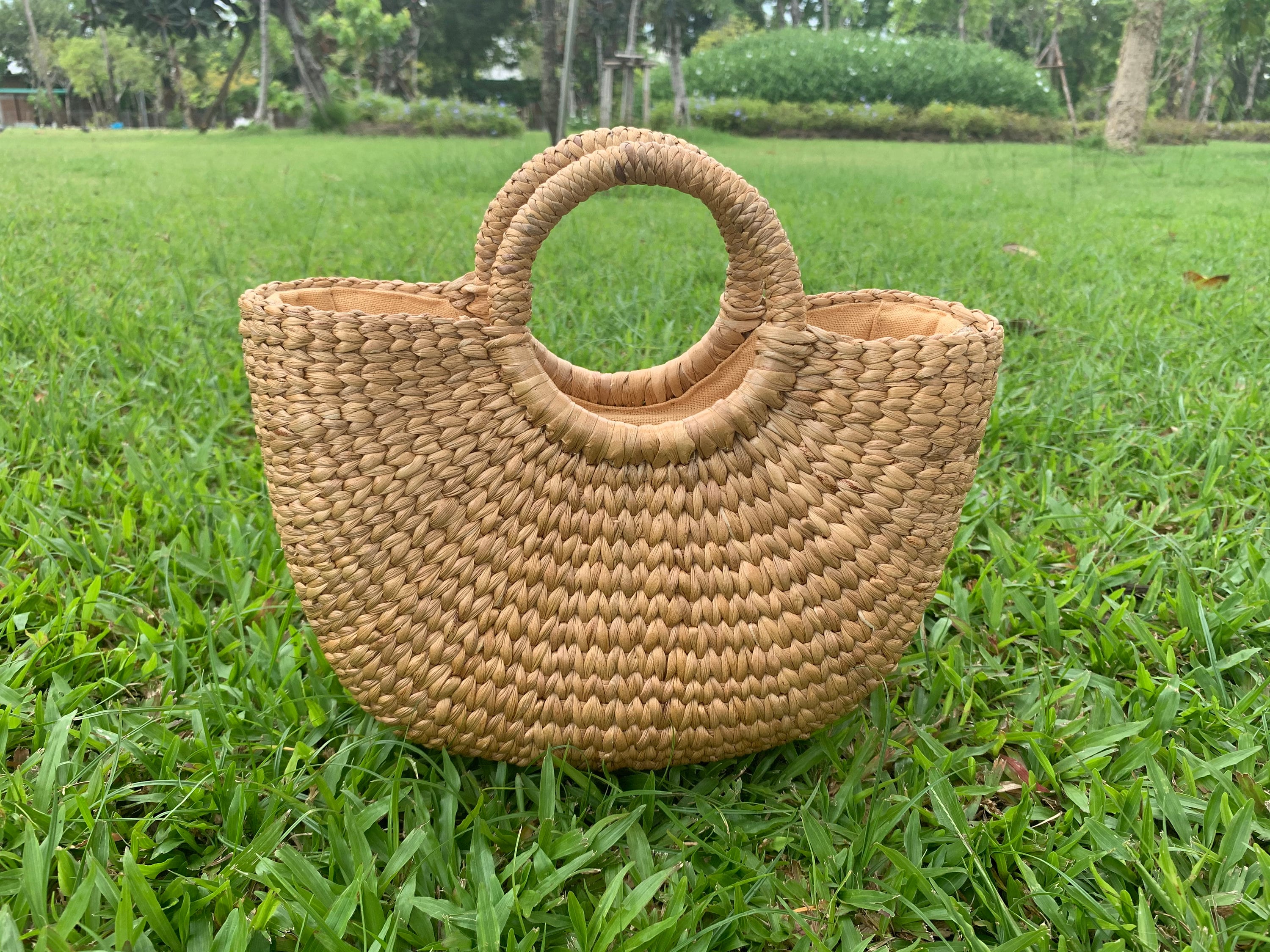 Handmade Water Hyacinth Bag, Small Woven Straw Tote - Etsy
