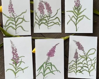 Watercolor Fireweed Greeting Cards, Set of 6, 4x6, Assorted Designs