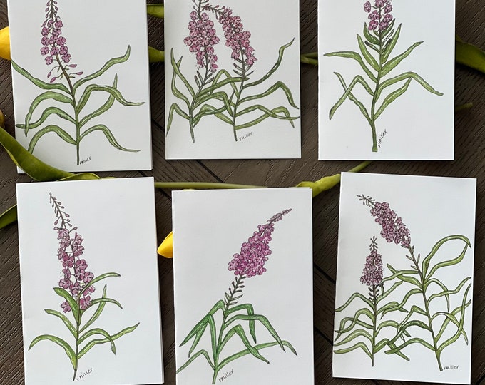 Watercolor Fireweed Greeting Cards, Set of 6, 4x6, Assorted Designs