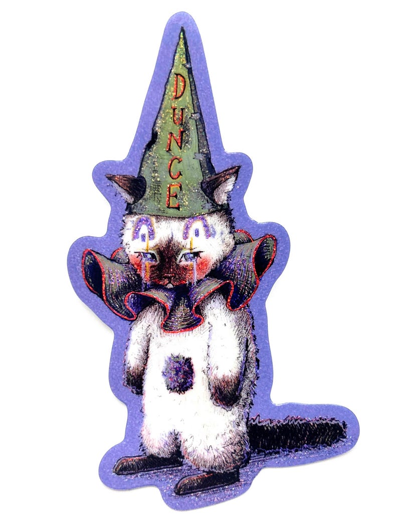 Dunce Sticker Dunce Cat Clown Sticker: Sparkly Waterproof Vinyl (3inx4.5in) - Etsy