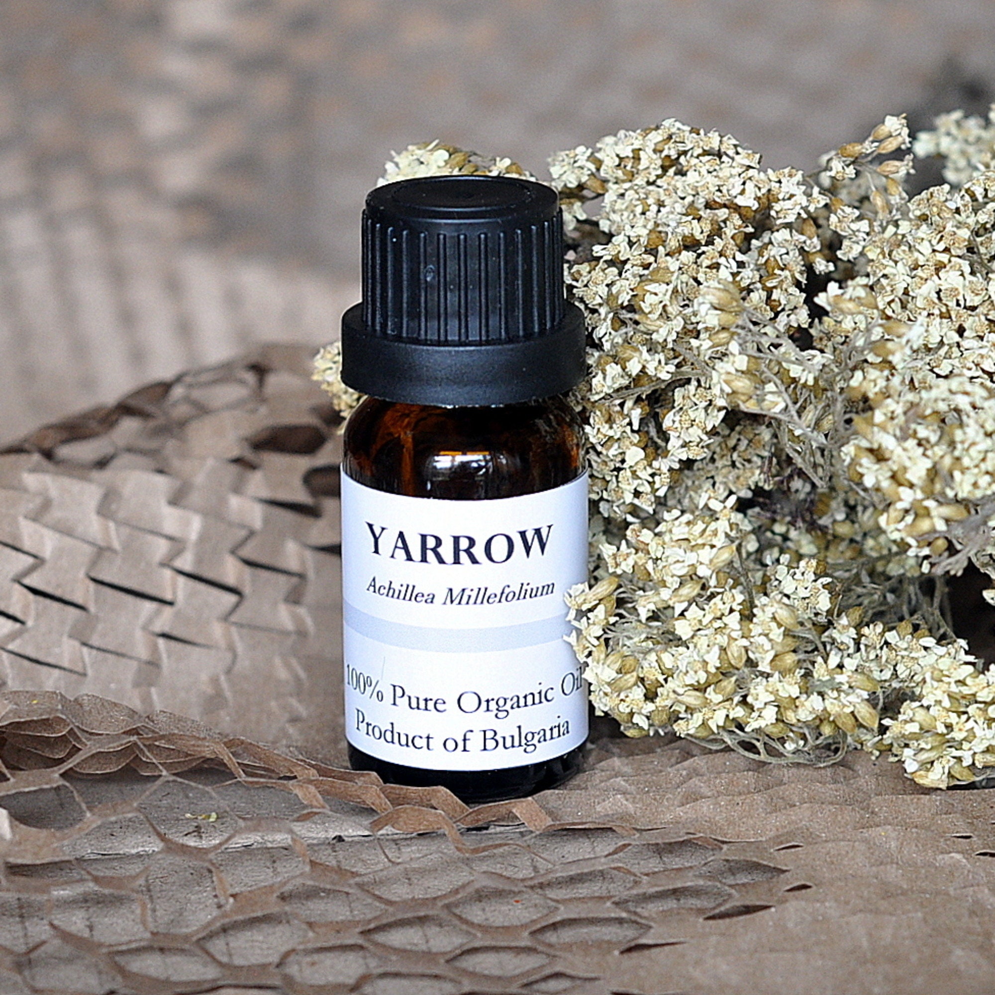 Yarrow Essential Oil 100 Pure Organic Oil 10ml Etsy