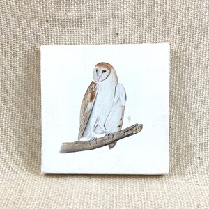 Barn Owl mini canvas, 5x5, Archival print, Bird print, Watercolor, Home Decor