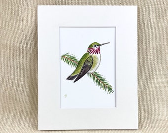 Calliope colibrì stampa opaca, Stampa d'archivio, Acquerello, Arte degli uccelli