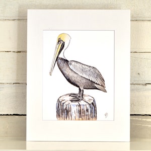 Pelican Matted Print, one-of-a-kind watercolor painting