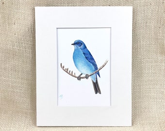 Mountain Bluebird matted print, Archival, Bird painting, Watercolor, Home decor